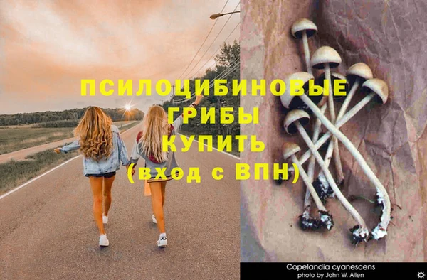 первитин Белоозёрский
