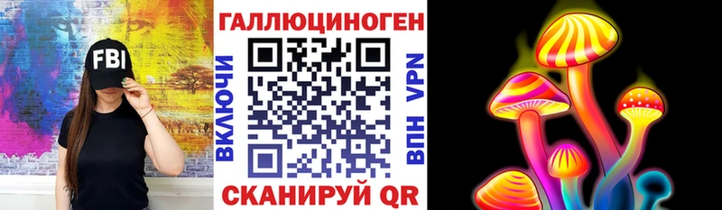 хочу   Вуктыл  Галлюциногенные грибы GOLDEN TEACHER 
