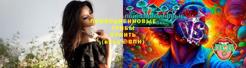 Псилоцибиновые грибы Cubensis  где купить наркоту  Вуктыл 